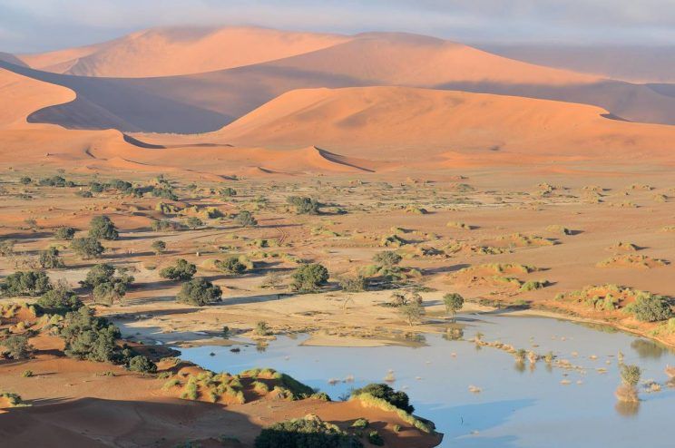 Paisajes: Desierto del Namib