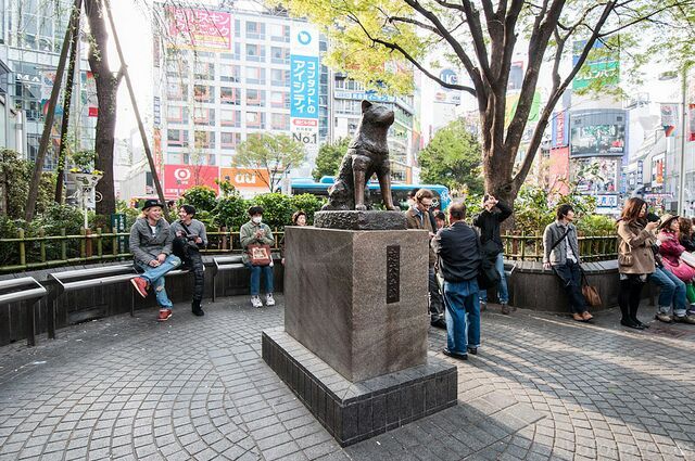 Estatua de Hachiko que ver en Tokio