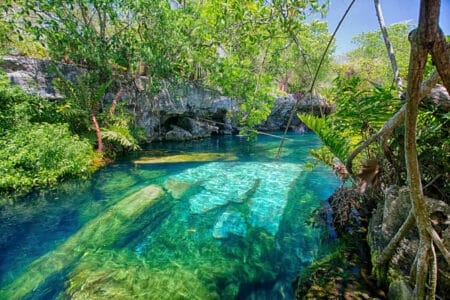 Los mejores 5 Cenotes de playa del Carmen