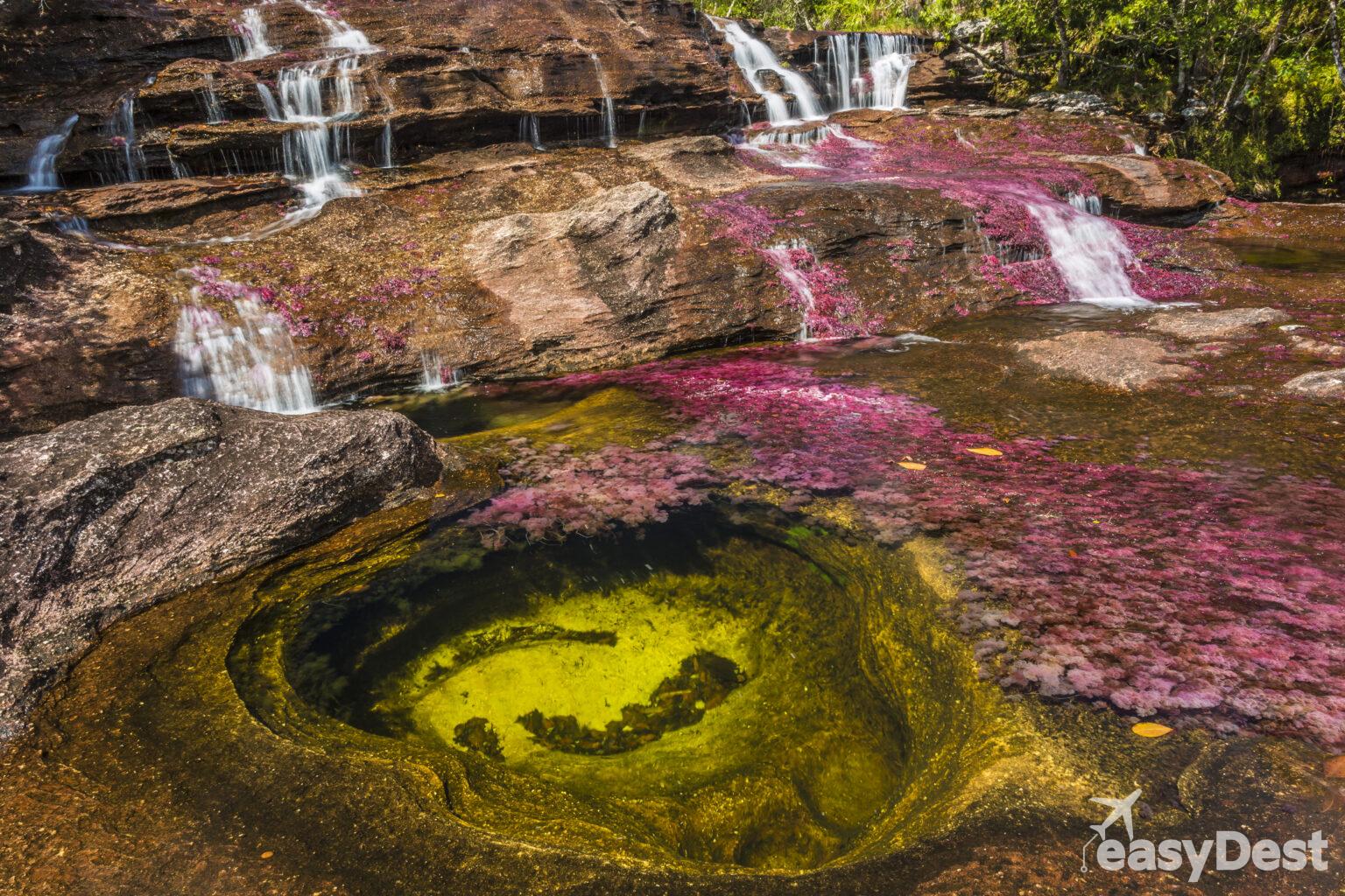 26 Curiosidades de Colombia que tal