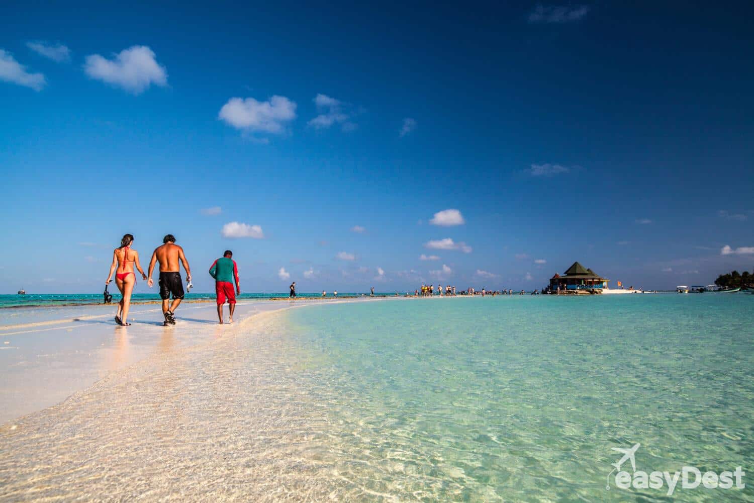 Acuario de San Andrés: lo que tienes que saber antes de ir acuario de san andrés