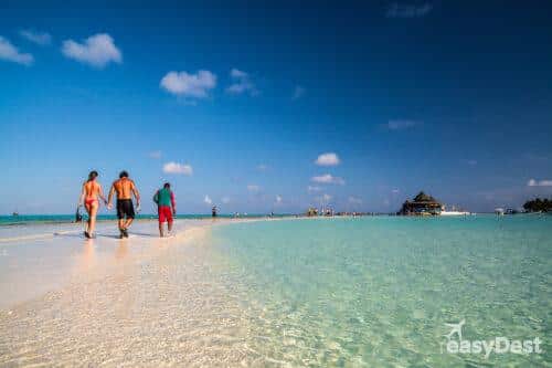 acuario de san andrés